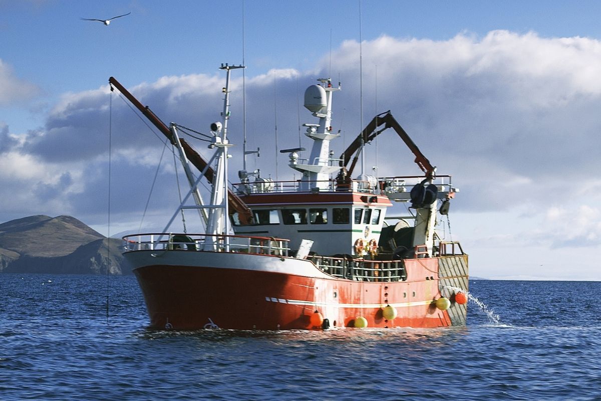 Lee más sobre el artículo La pesca del Bonito del Norte